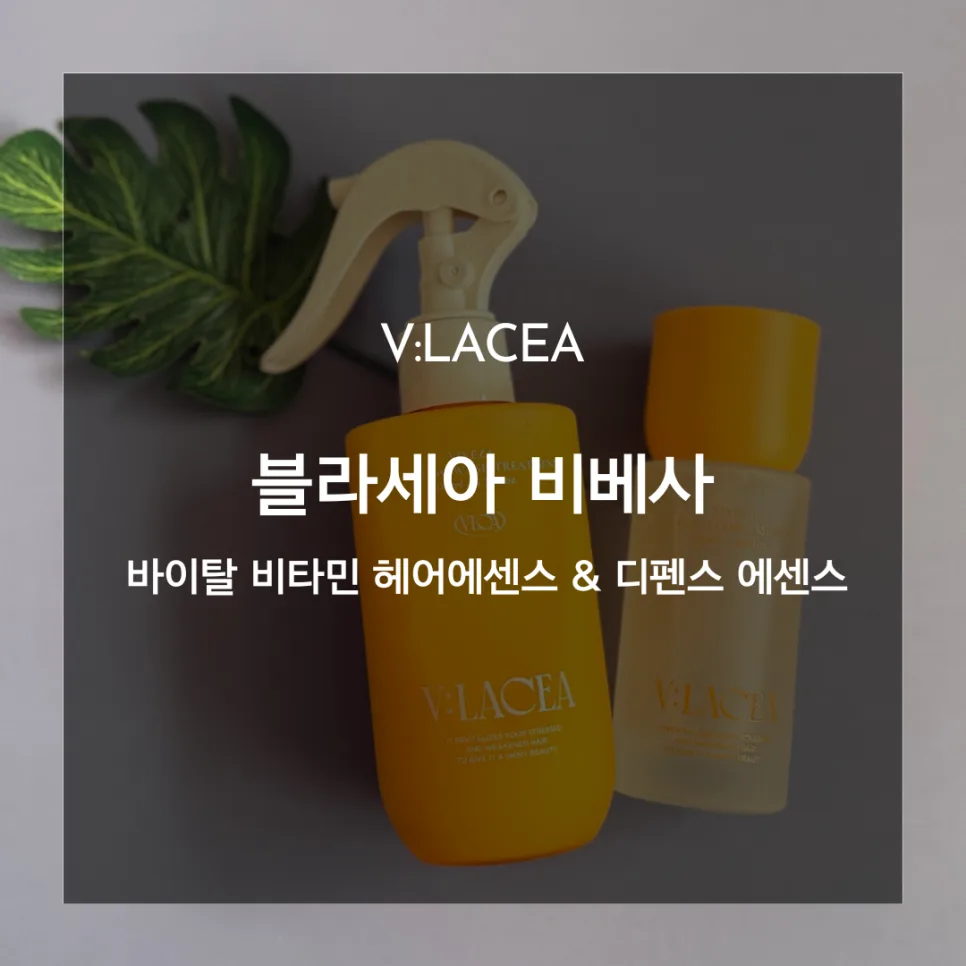 겨울철 푸석한 머릿결, 비베사 헤어 에센스로 윤기 되찾는 법 2026