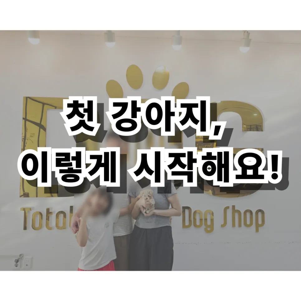 세종시 강아지 분양 2026: 믿을 수 있는 곳 찾는 3가지 기준