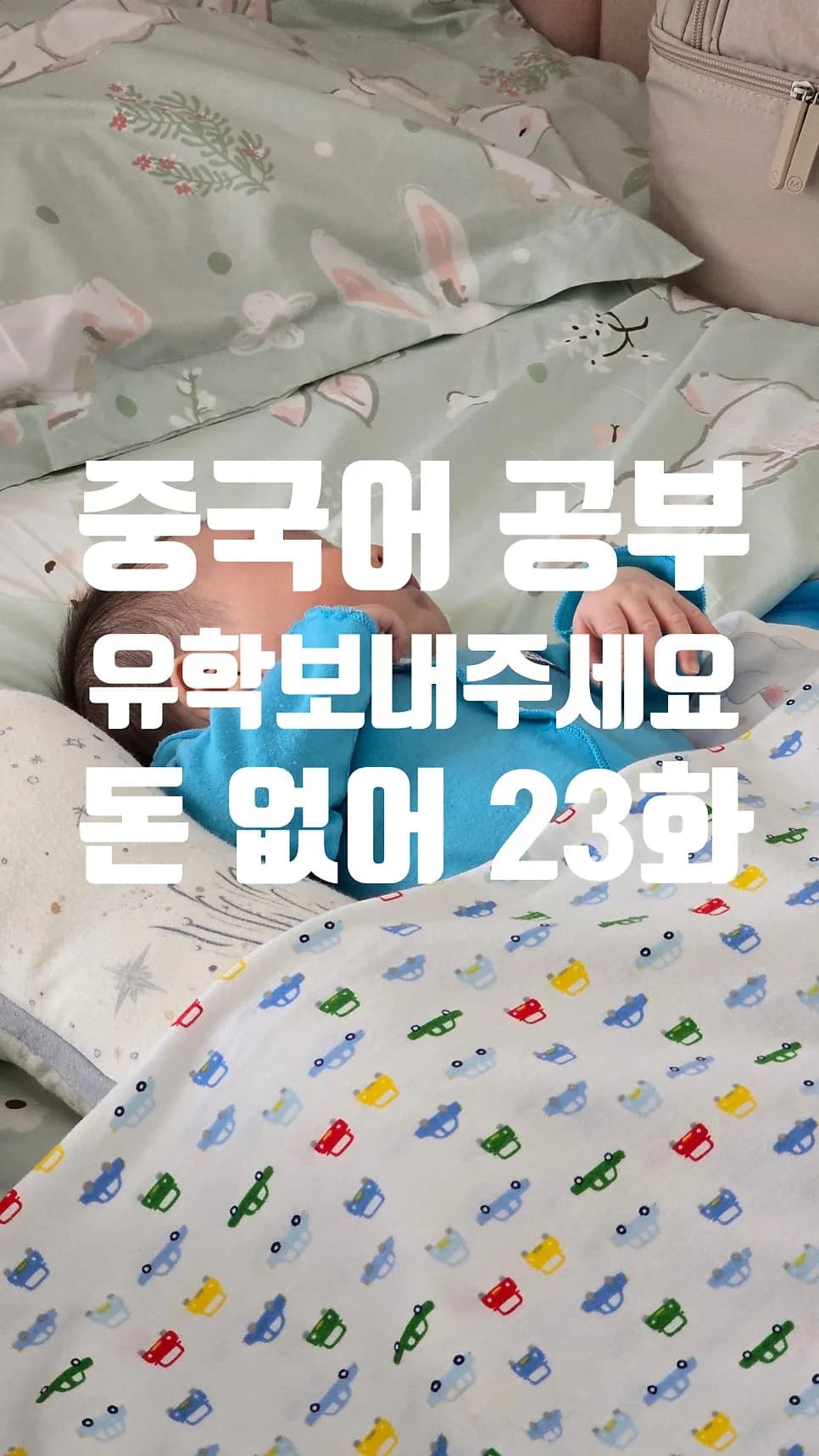 매일 5단어 중국어 습관 2026: 샤오잔·조로사처럼 성장하는 법