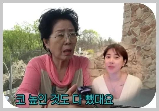 선우용여 조언, 서인영 코 수술 5회 후 실리콘 제거 2026
