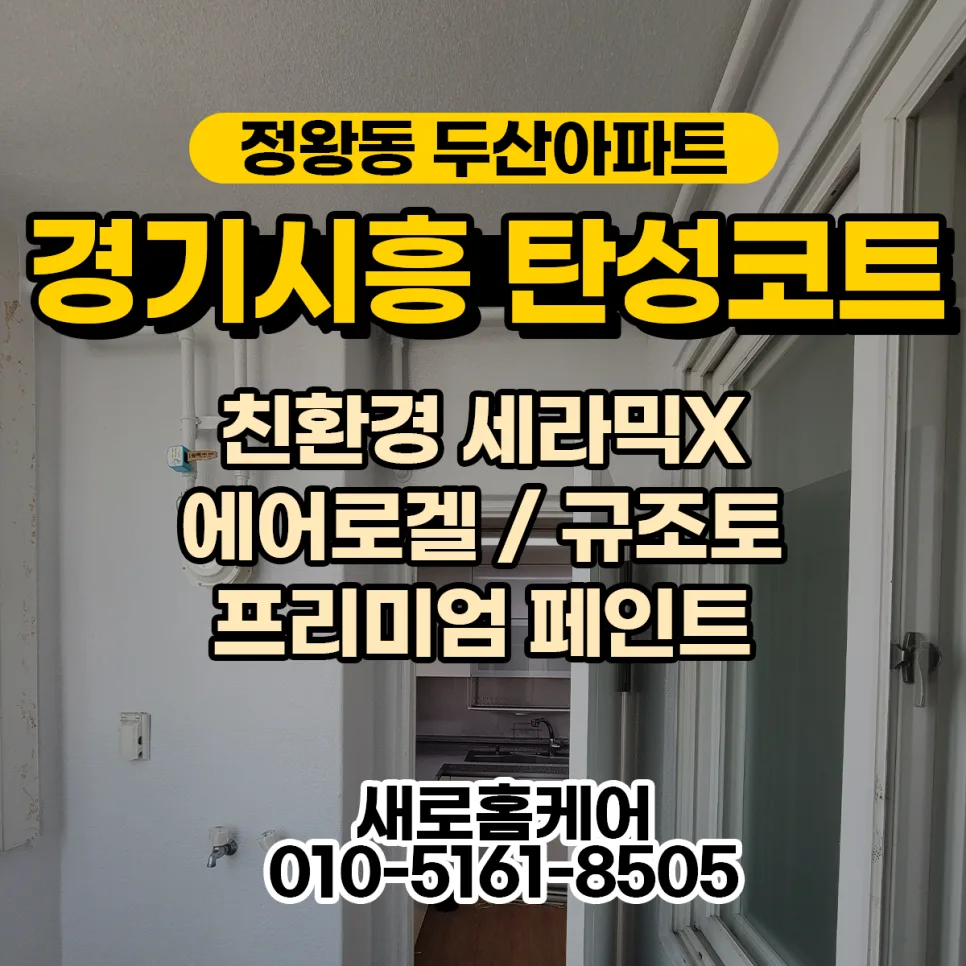시흥 정왕동 탄성코트 2026: 곰팡이 완벽 제거 노하우