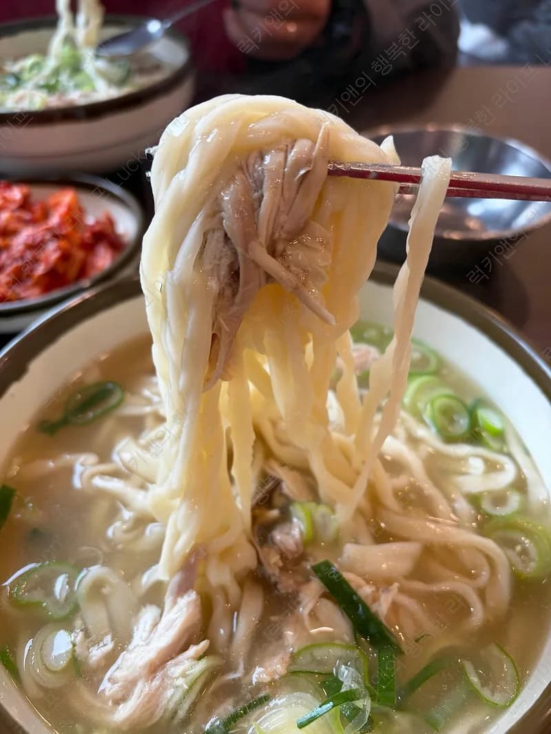40년 전통 일산칼국수 본점: 웨이팅 이유와 닭칼국수 맛집 후기