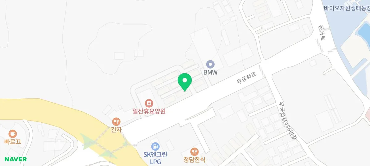 안산 강아지 분양 2026: 건강한 반려견 입양 가이드