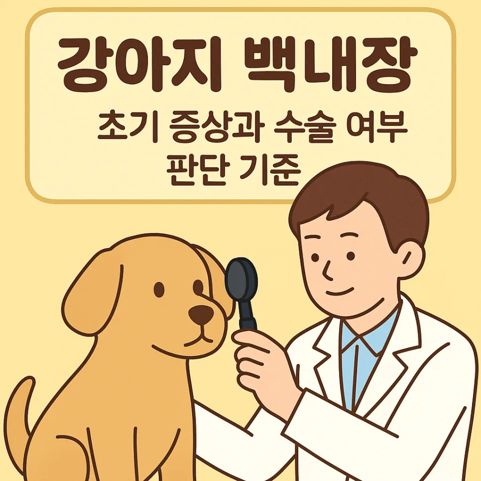 강아지 백내장 초기 증상과 수술 판단 기준 2026