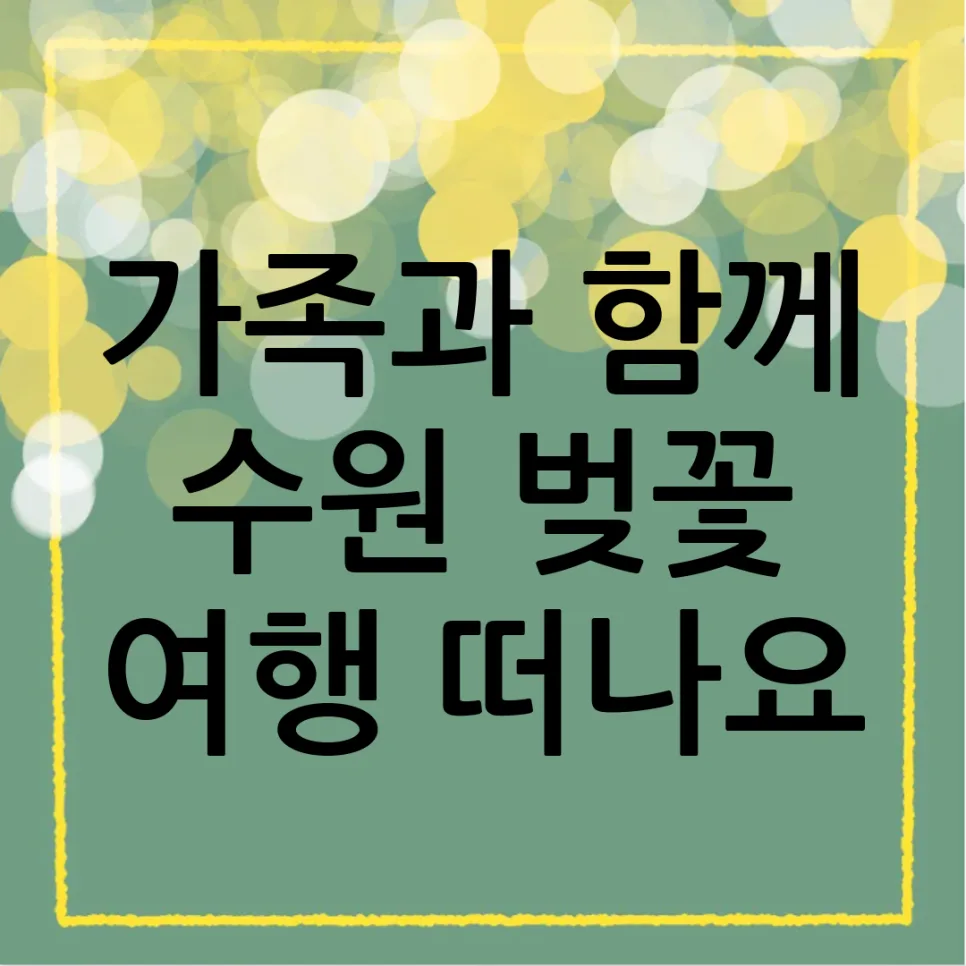 수원 벚꽃 명소 2026: 아이와 함께 인생샷 남기는 가족 여행 코스