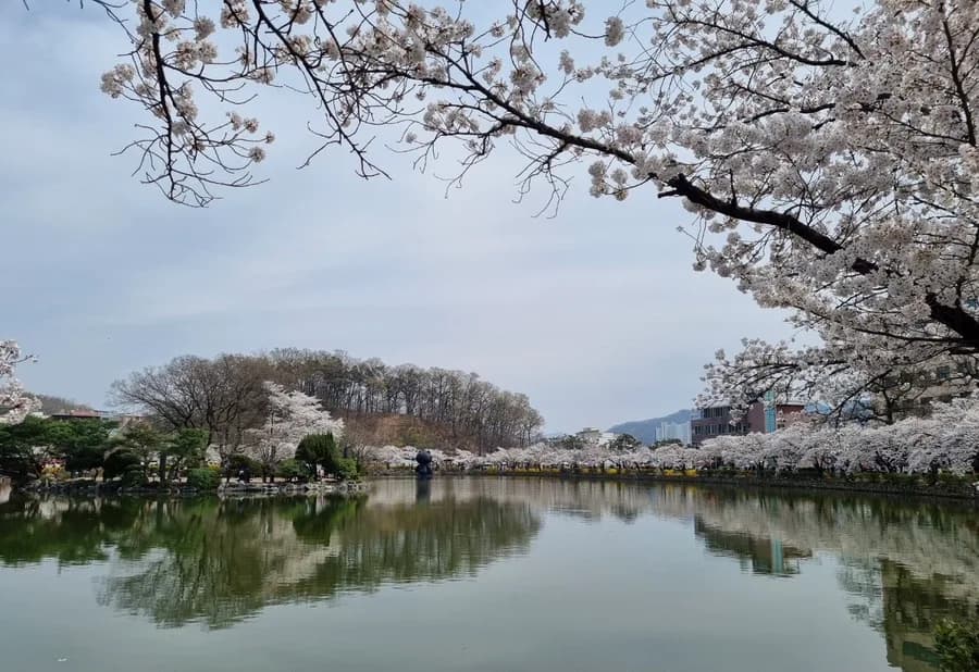 오세영 시, 봄의 윤슬과 첫눈의 그리움 2026년 분석