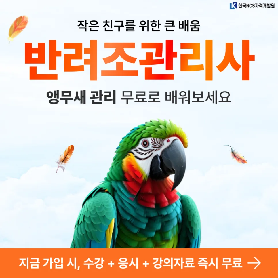 반려조관리사 자격증: 앵무새 건강 관리법 2026 총정리
