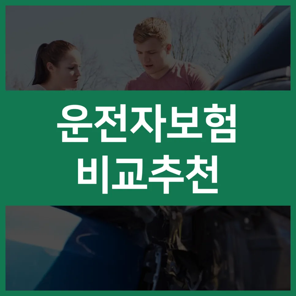 운전자보험 변경, 2026년 나에게 맞는 보장 설계법