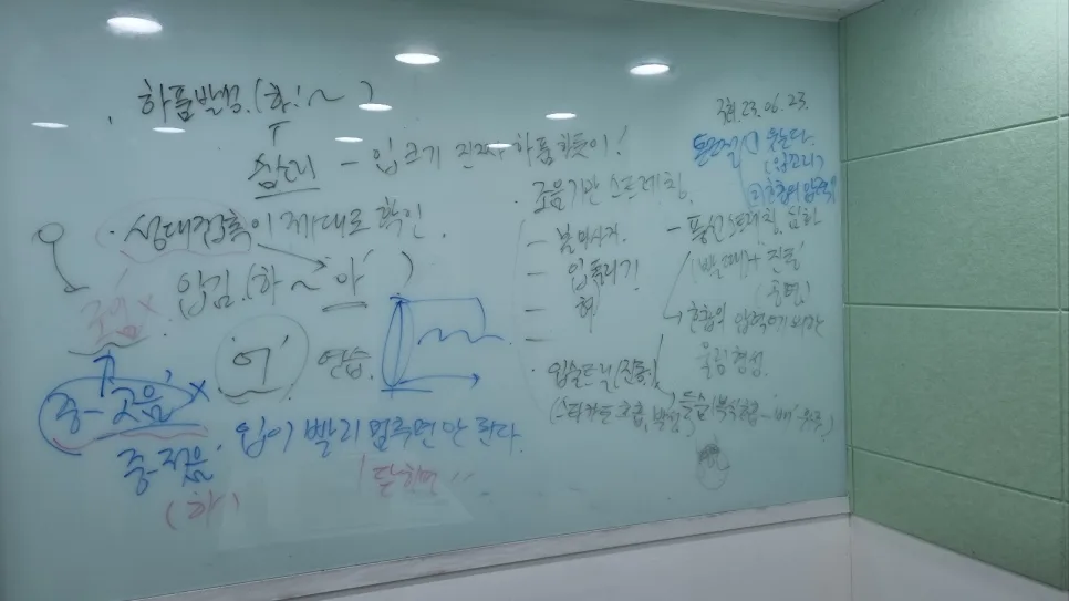 목소리 톤 교정: 복식호흡 발성 훈련으로 2026년 자신감 되찾기