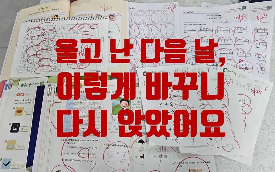 초1 엄마표 공부, 울었던 아이 다시 앉히는 법 2026