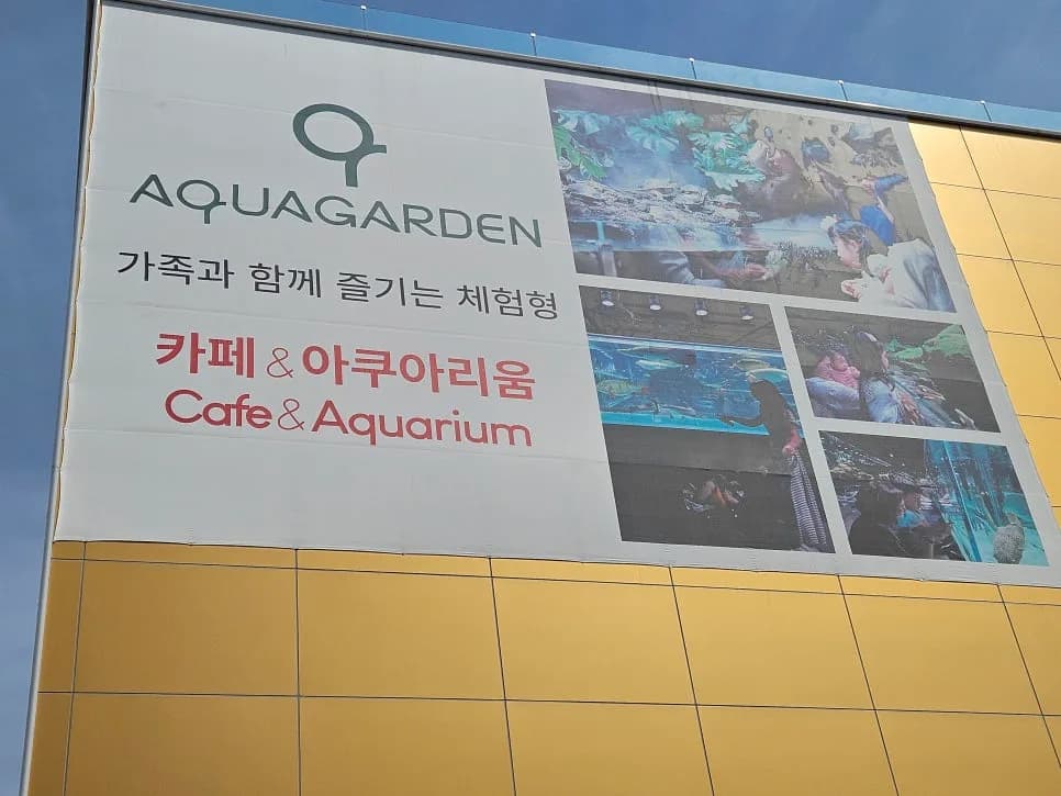 일산 아쿠아가든, 이색 카페 경험 2026년 방문 후기