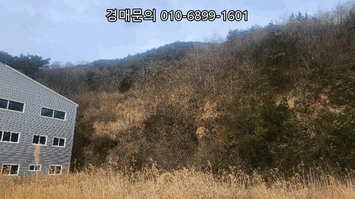 고성군 대형 공장 경매, 2026년 투자 기회 분석