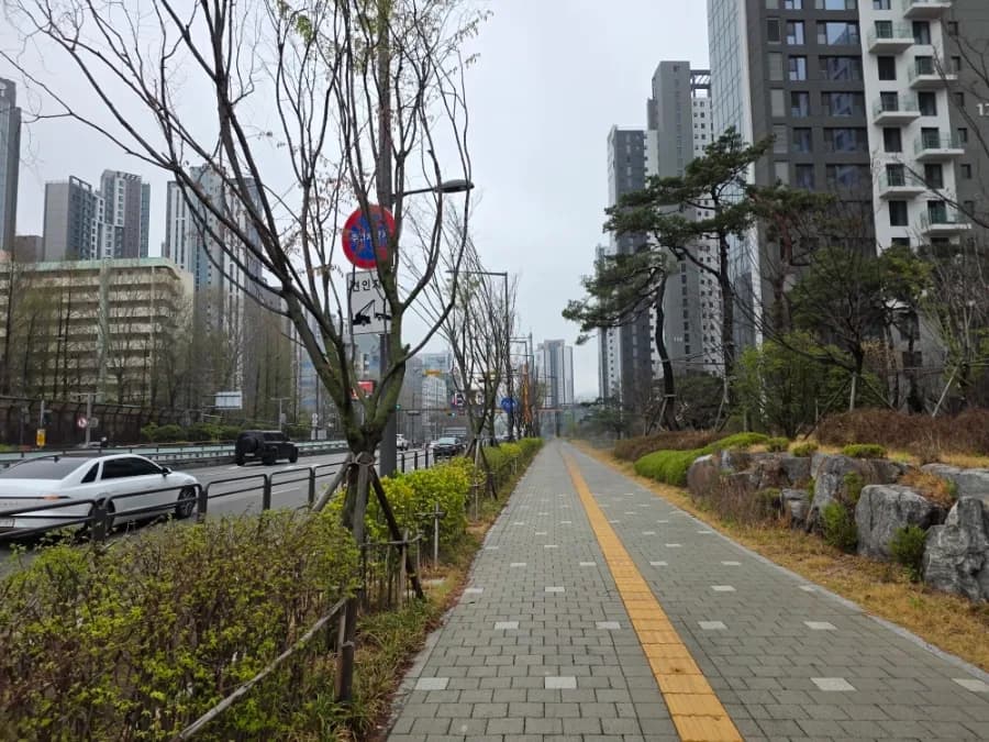 원베일리 상가 맛집 '서래향' 2026년 삼선짬뽕 솔직 후기