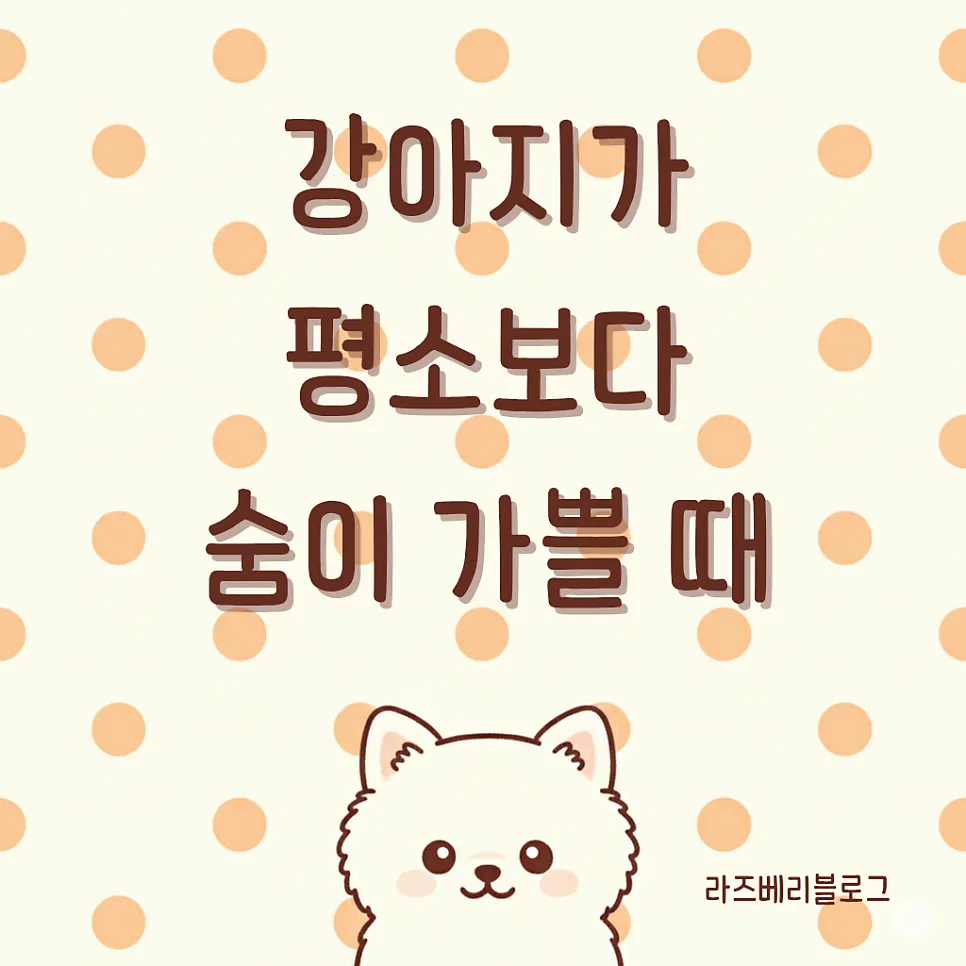 강아지 숨 가쁨, 원인별 대처법 2026년 총정리