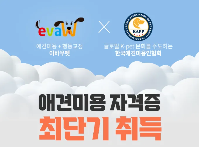 창원 애견미용 국비지원 2026년 혜택 총정리