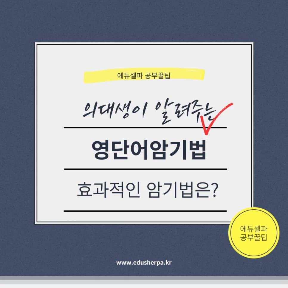 영단어 암기법 2026: 잊지 않고 오래 기억하는 5가지 비결