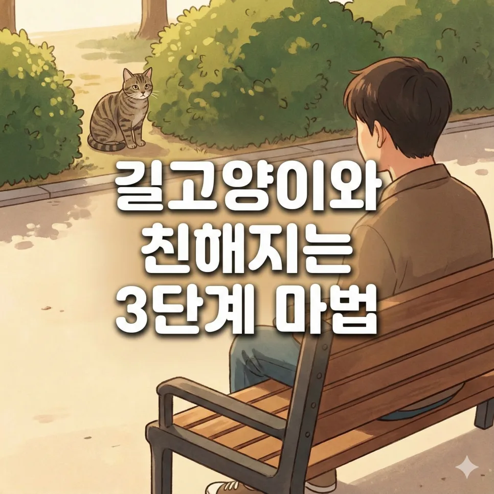 길고양이와 친구 되는 법: 3단계 신뢰 쌓기 전략 2026