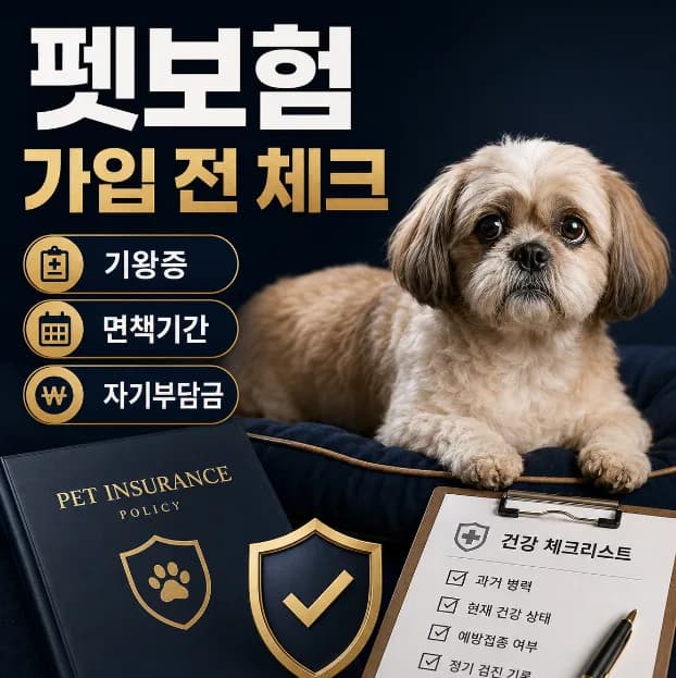 펫보험 가입 전 필수 확인 사항 2026: 노령견도 OK?