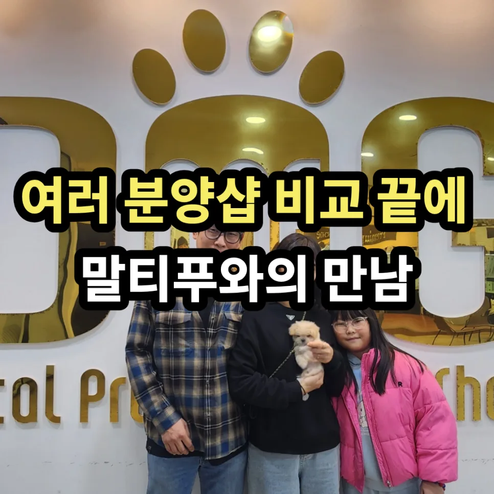 세종시 애견분양 2026: 말티푸 입양, 원독 선택 이유와 후기