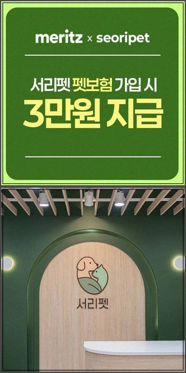 서울 강아지 분양 2026: 반려견 입양 전 필수 확인 사항 5가지