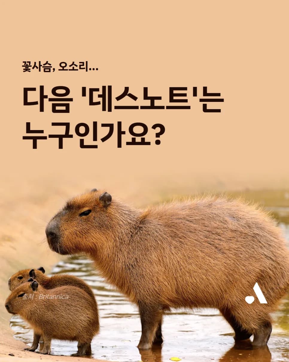 유해야생동물 지정 기준 2026: 오소리·꽃사슴 포획 논란과 대안