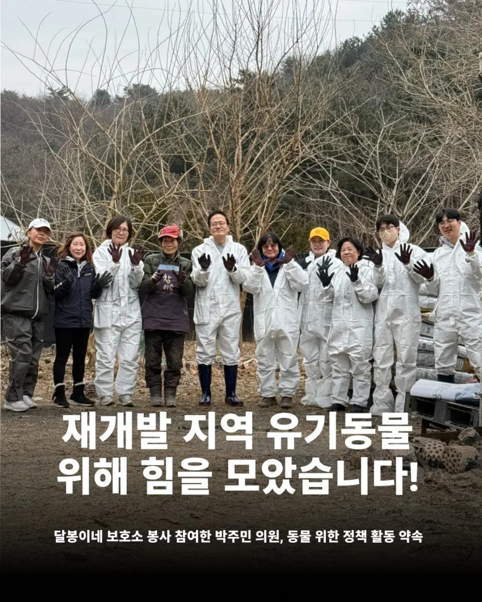 재개발 지역 유기동물 보호 현황 2026: 정책 변화와 과제
