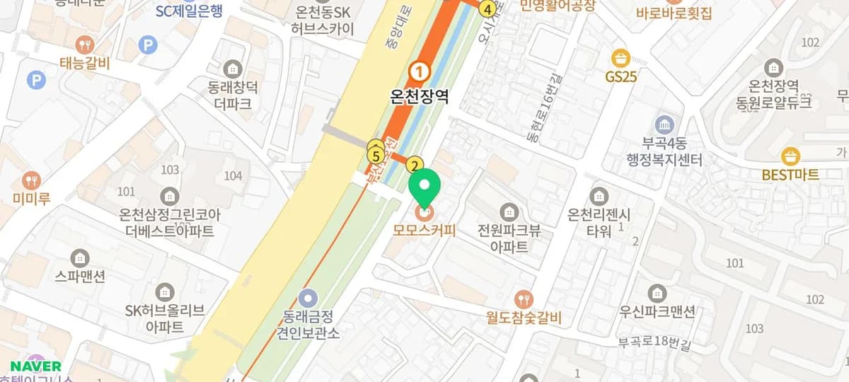 모모스커피 본점 목련 명소 2026: 주차, 메뉴, 개화 상태 총정리
