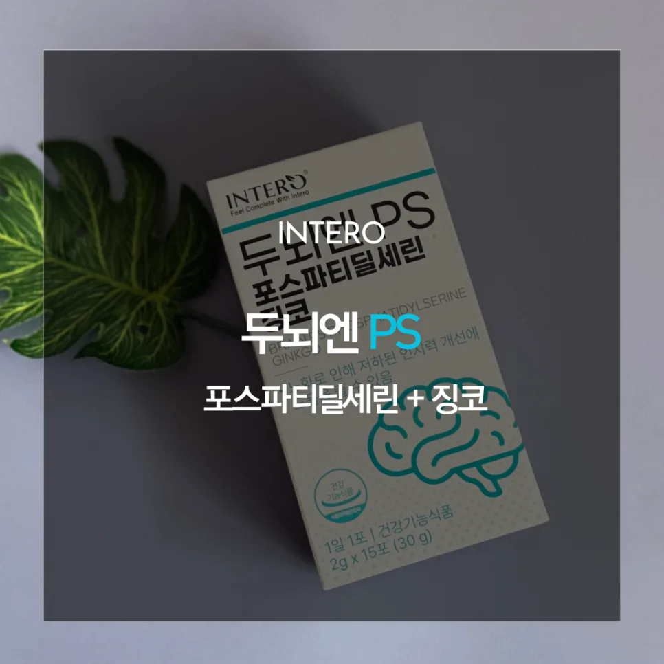 기억력 개선 영양제 2026: 포스파티딜세린 vs 징코 비교 분석