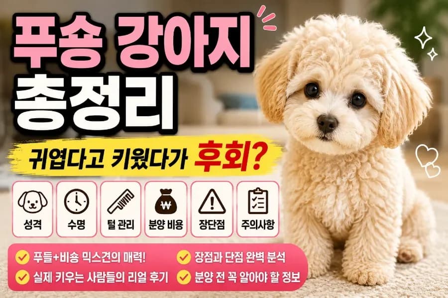 푸숑 강아지 현실 분석: 장단점, 수명, 비용 2026년 총정리