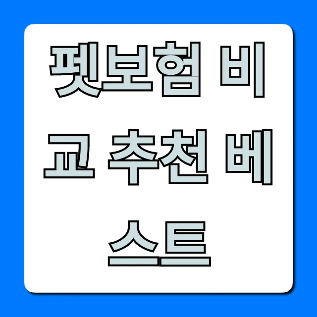 2026년 펫보험 비교 추천: 우리 아이에게 맞는 상품 찾는 법
