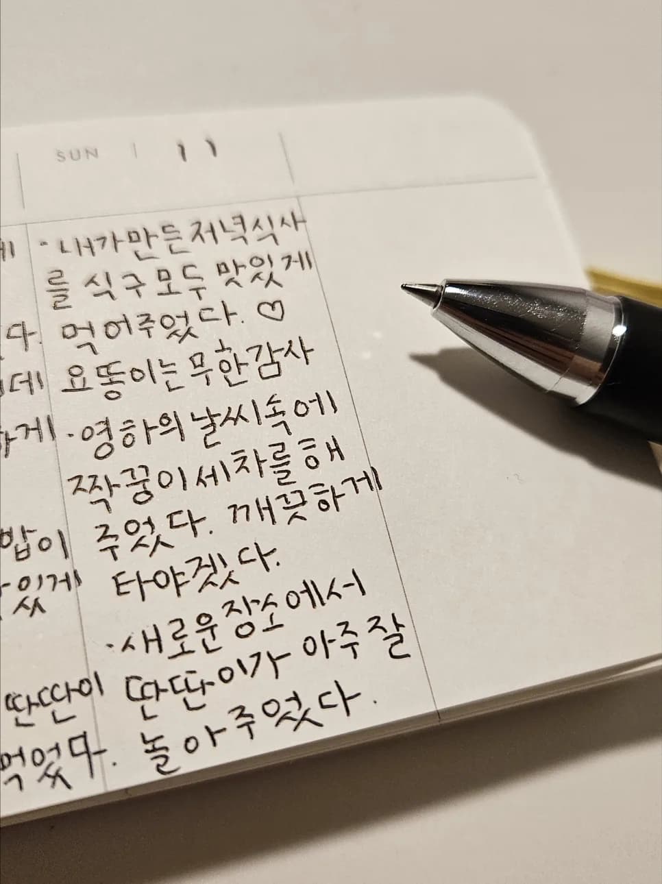 요똥이의 감사 일기: 요리 실패 속에서도 빛나는 긍정 에너지 2026