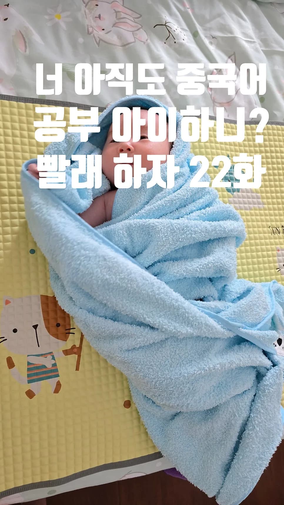매일 5단어 중국어 습관 2026: 멍샹, 허, 카이처 등 핵심 동사 익히기