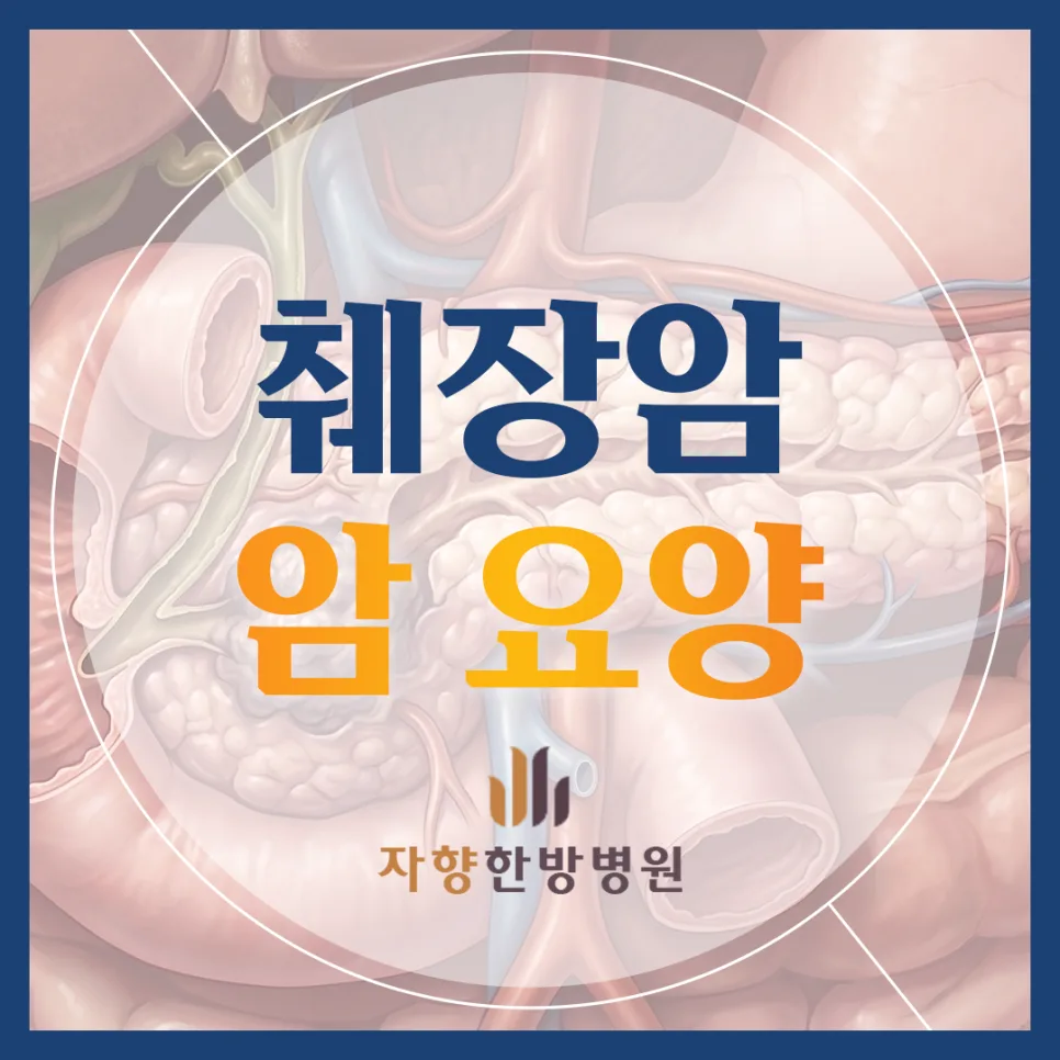 췌장암 수술 후 회복, 한방병원 요양으로 삶의 질 높이는 법 2026