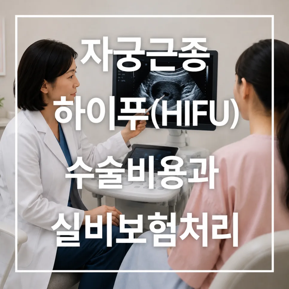 대전 자궁근종 하이푸 비용과 실비 보험 2026년 총정리