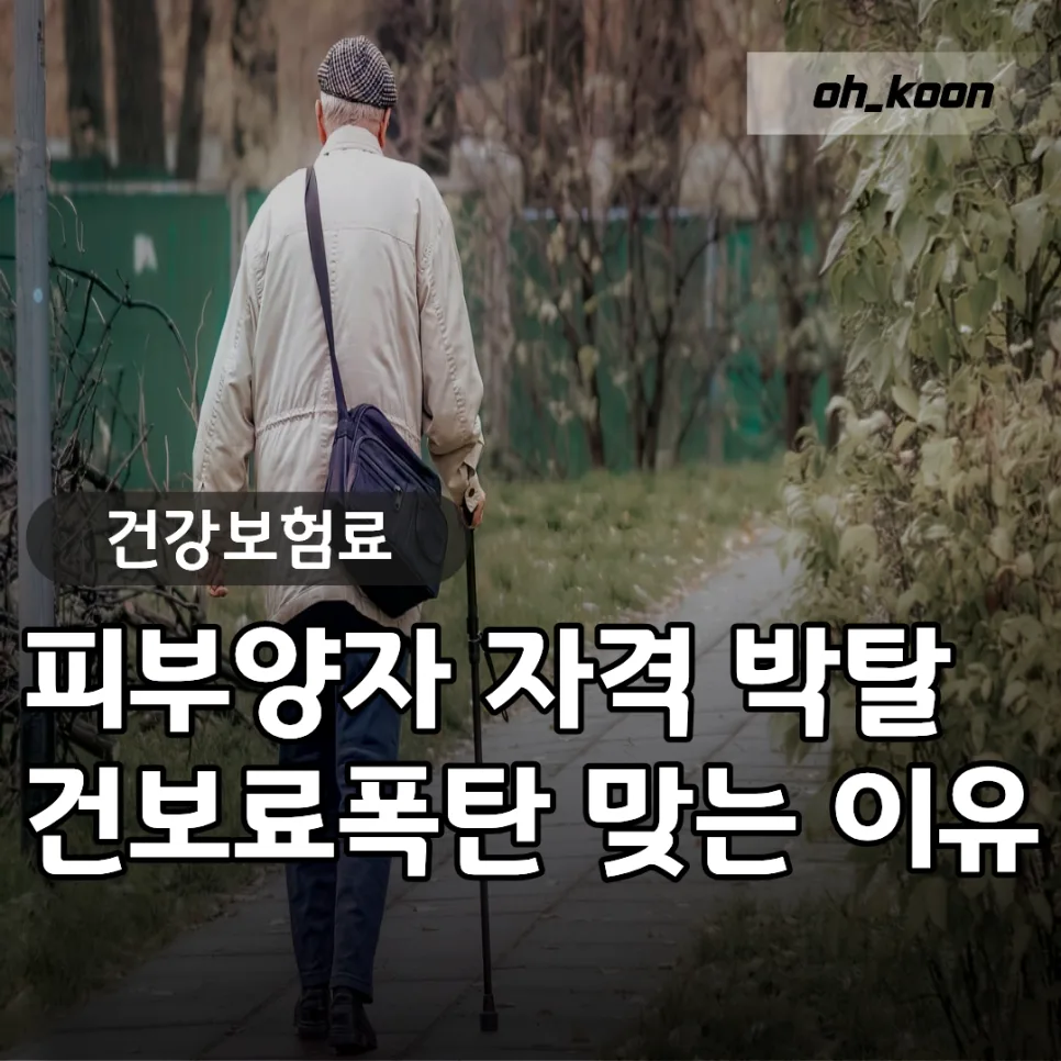 건강보험료 피부양자 자격 박탈 기준 2026년 총정리