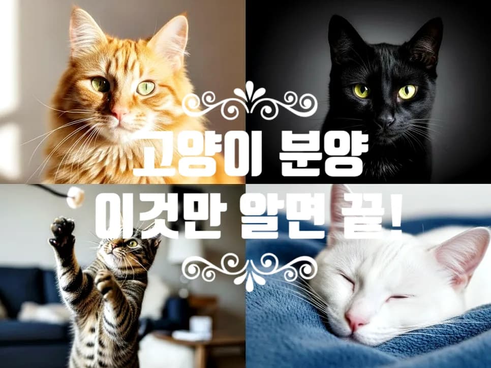 인천 고양이 분양 2026: 건강한 반려묘 선택 가이드