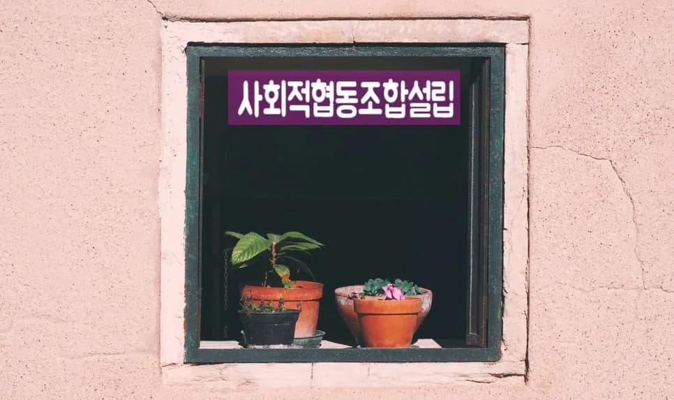 사회적협동조합 설립 절차 2026: 비영리 목표 달성 가이드