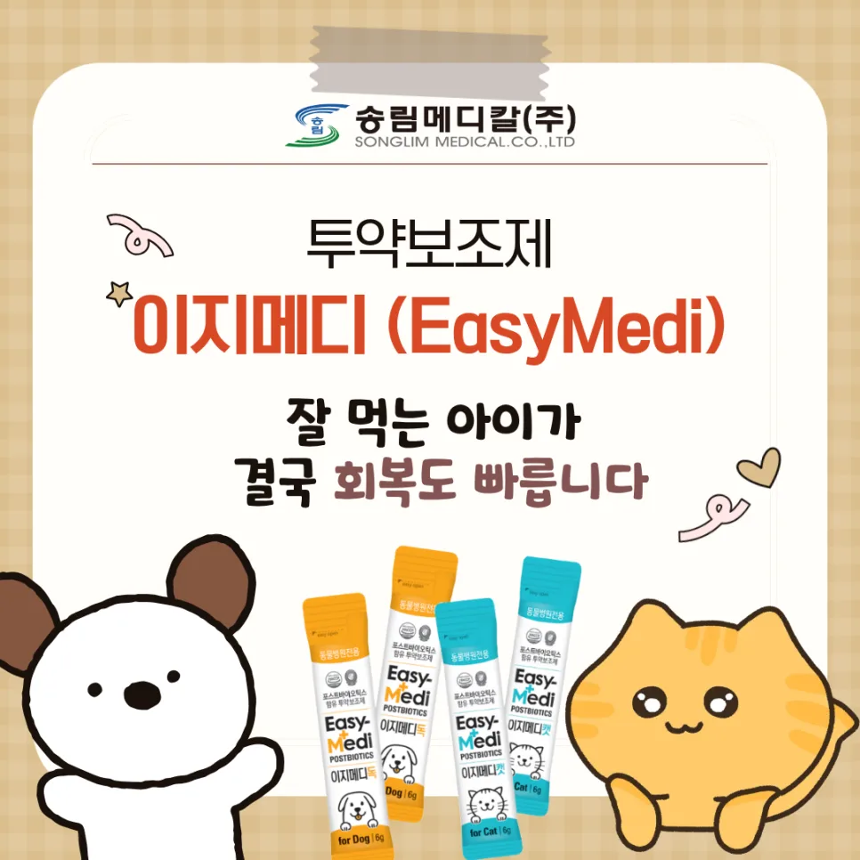 반려동물 투약보조제, 이지메디 효과와 선택 기준 2026