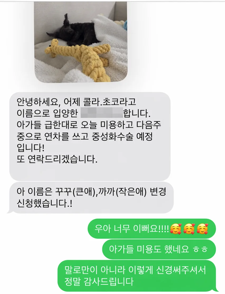 광명 강아지 입양 2026: 성공적인 가족 찾기 가이드