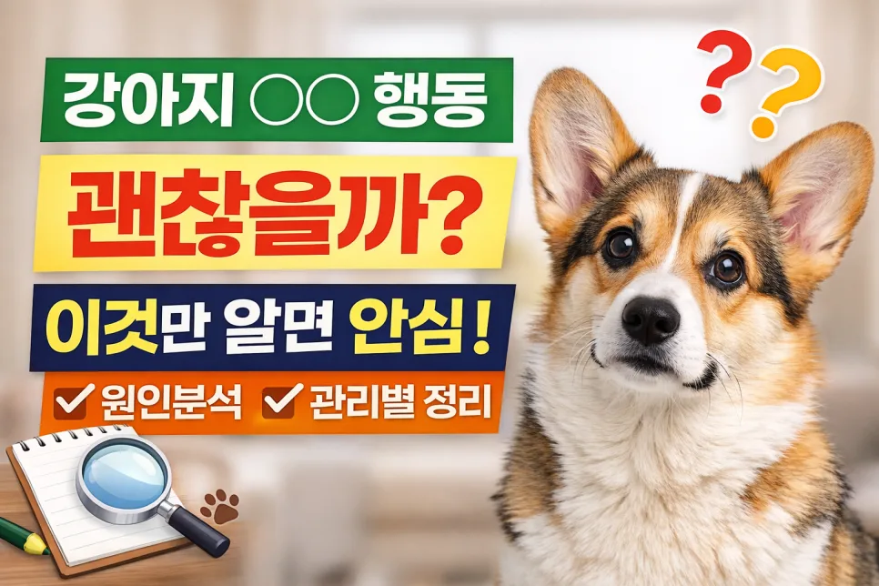 강아지에게 해로운 보호자 행동 7가지 (2026년 최신 점검)