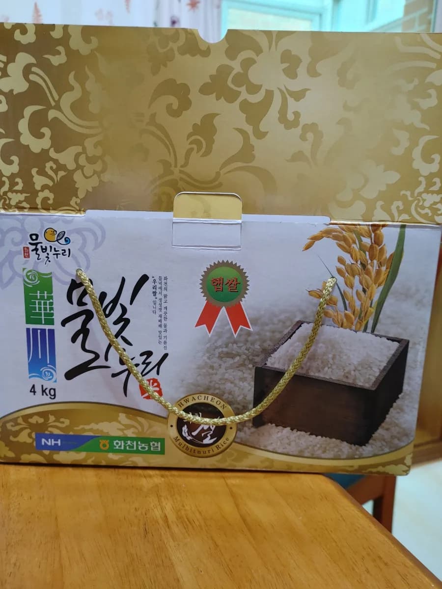 춘천 초가을 풍경과 일상: 동부시장부터 롯데마트까지 2026