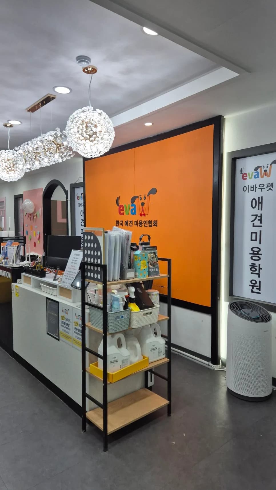 부천 애견미용학원 선택 가이드: 이바우펫 장점 2026년 총정리