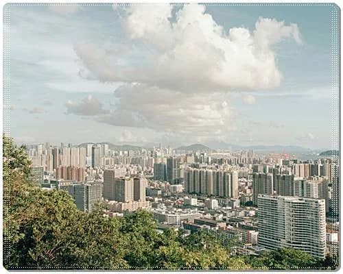 전매제한단지 뜻, 2026년 규제 완화 가능성은?