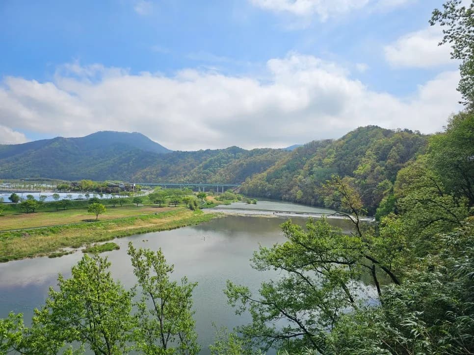 2026년 상속 한정승인, 단순승인 간주 피하는 법 5가지