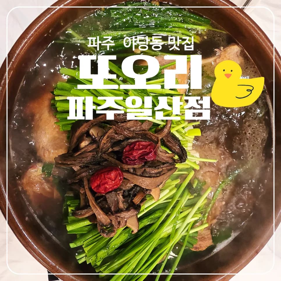 파주 능이버섯 오리백숙 맛집 2026: 부모님 모시고 가기 좋은 곳