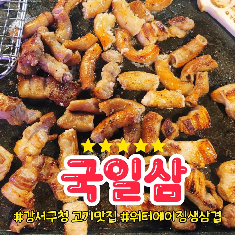 강서구청 맛집 국일삼: 곱창·삼겹살 2026년 최신 후기