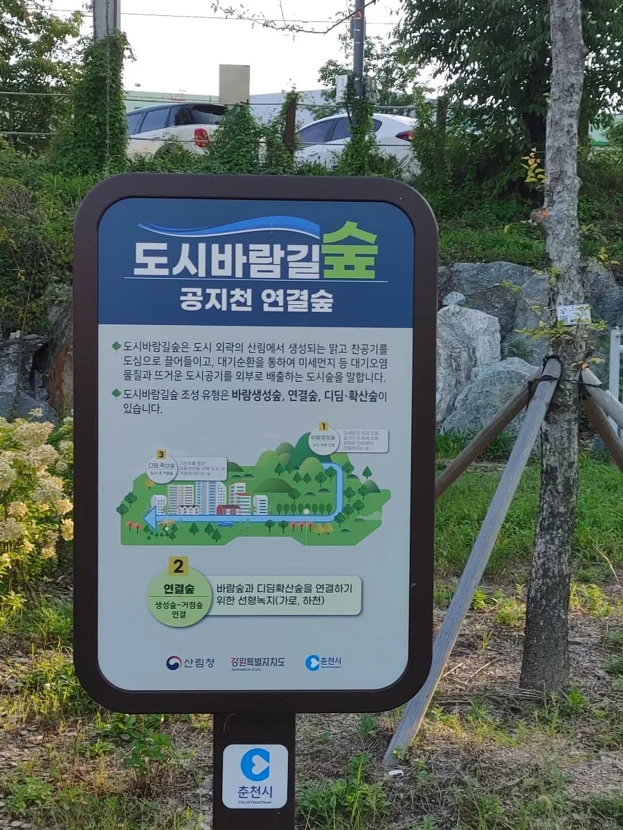 춘천 여행 코스 2026: 공지천 산책부터 야시장까지 완벽 정리