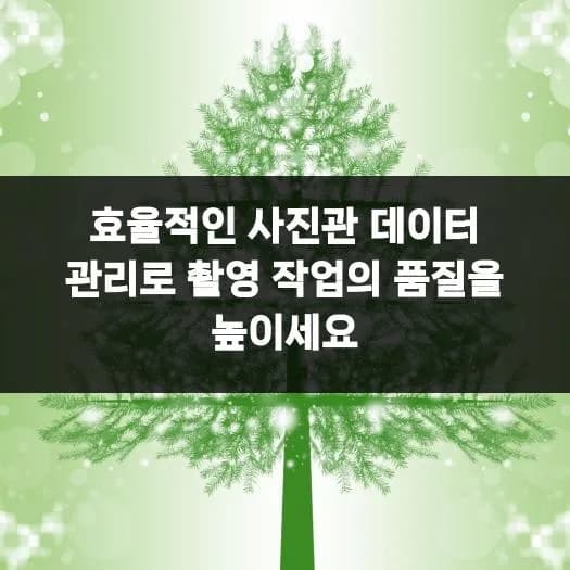 사진관 데이터 관리법 2026: 촬영 품질 높이는 실전 노하우