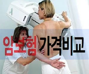 비갱신암보험 2026년, 잘못 고르면 후회하는 3가지 실수