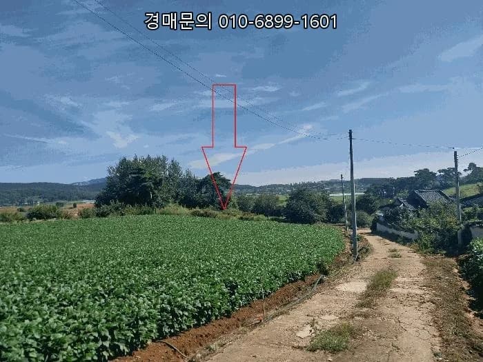 전북 부안 토지 경매 2026: 1회 유찰, 70% 최저가 투자 기회